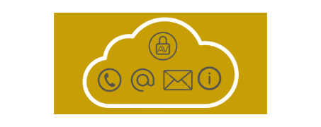 Amber Vault contact and support